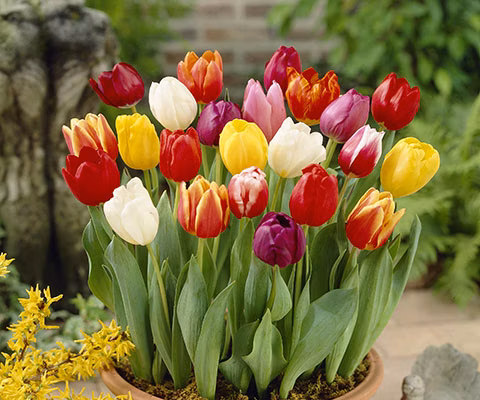 3c6d4c8aa0d1c4d39564421f1c0eb4e4