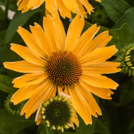 3c6d5f69438878bb55c498b8216850c7