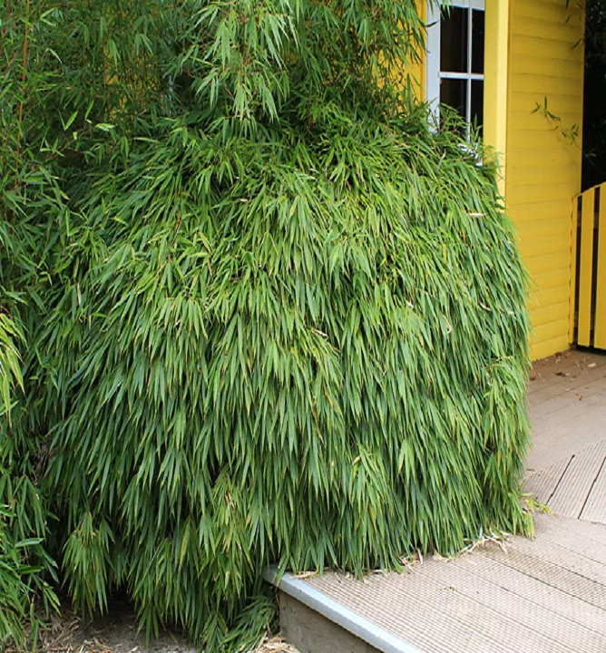 3c816b8875514b12494c8b9faf3e51be