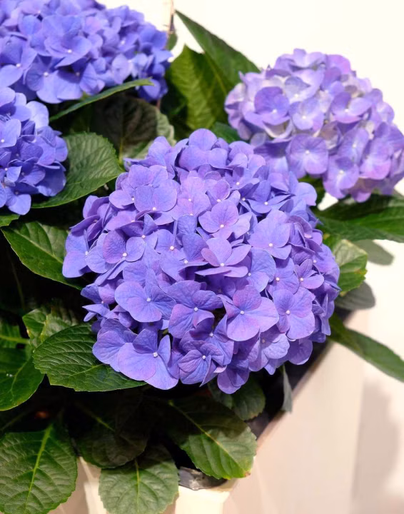 3ce34d6bb0599cbce11e750cee0fd386