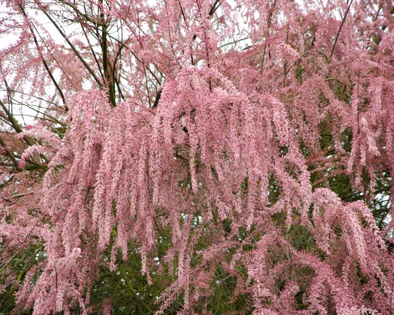 3ce5baf21906a72e8493ca49876bb0fa