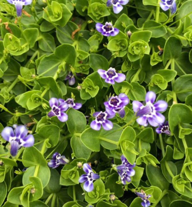 3d00e7e22871eee8de5d6040be8d0246