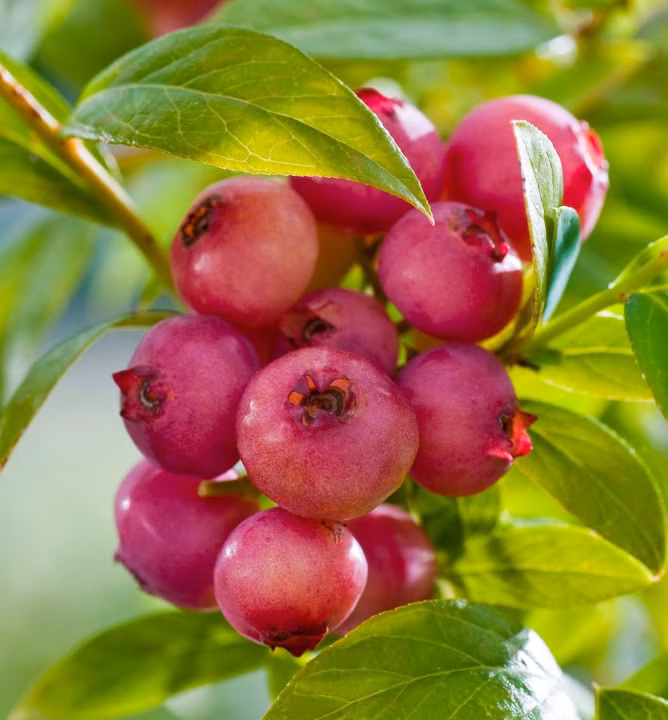 3d494f3ce6e1e30896e6ee6c5d399a74