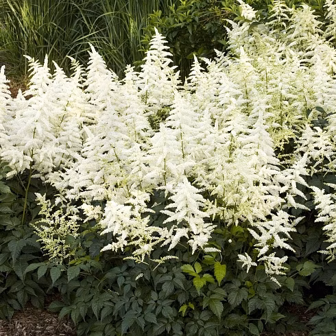 3d7a8b9133574fb4e85a25bfcf0153c0