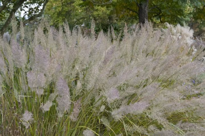 3d7dc574b4fd40932a591c4eea9de011