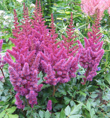 3da328e19a9050df0a31ae0557e90fa0