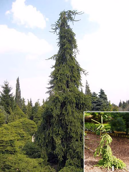 3dbd4d0f9a5aee565418dafe9c991a8b