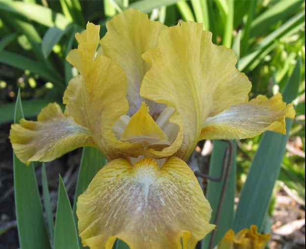 3dc3f32a2a1ca8e930f27491170ad5a2