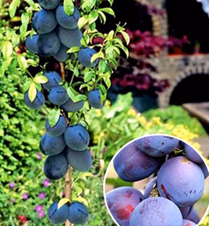 3dcc08c5bb93b176b6077be20651bf62