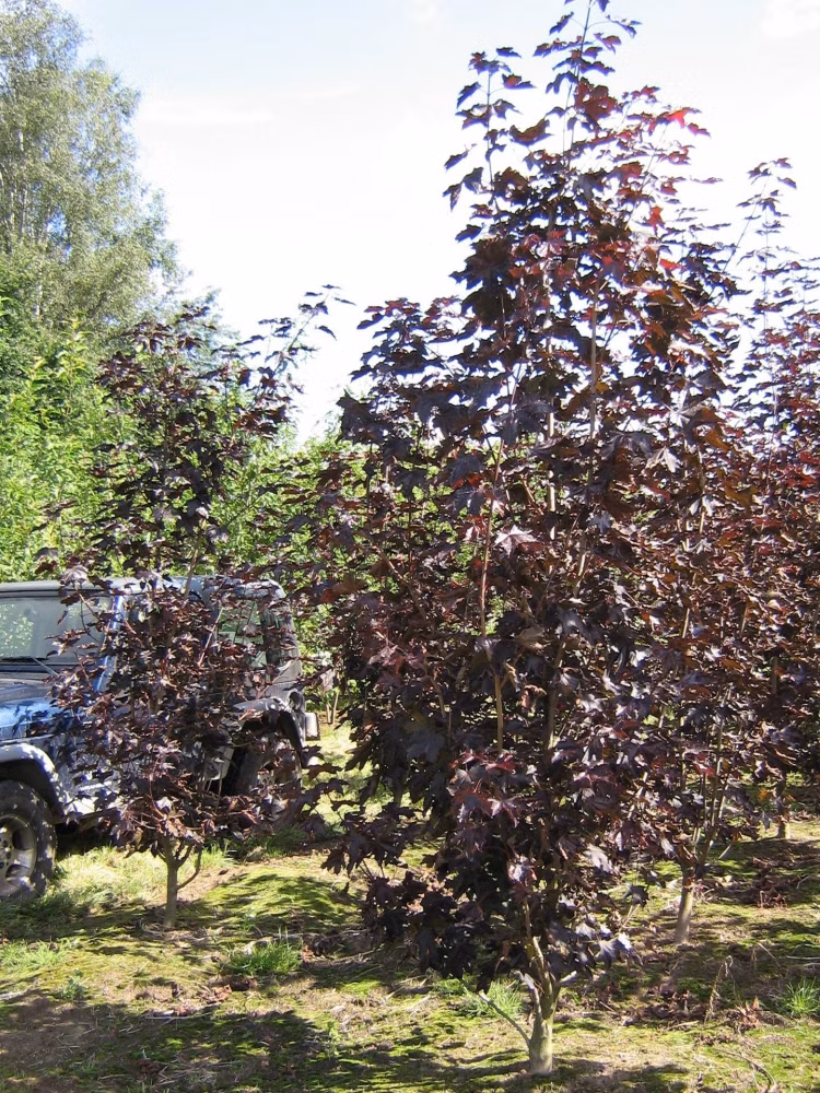 3e69425e94fa9d6c9792c08a3abd1511