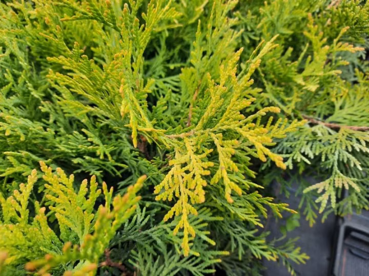 3ec39052362ff07fe7f9b67719186739