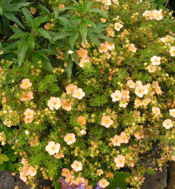 3ed4faa153390091891585b1abeaa05a