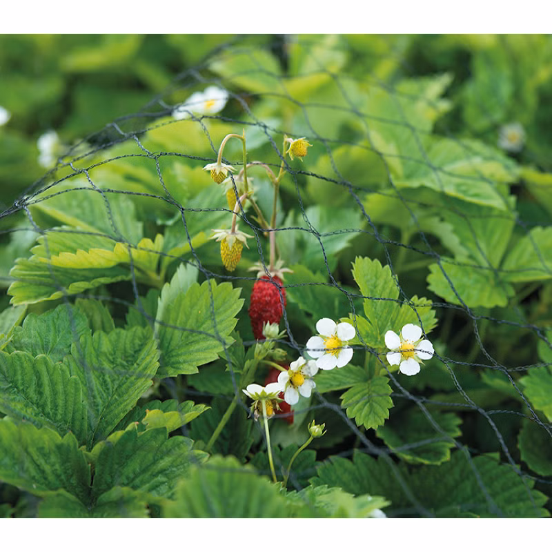 3edf6dec3060520c8b4e15f698a66e07