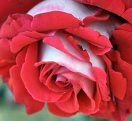 3ee0393ef91244dbee338a6129bf8710