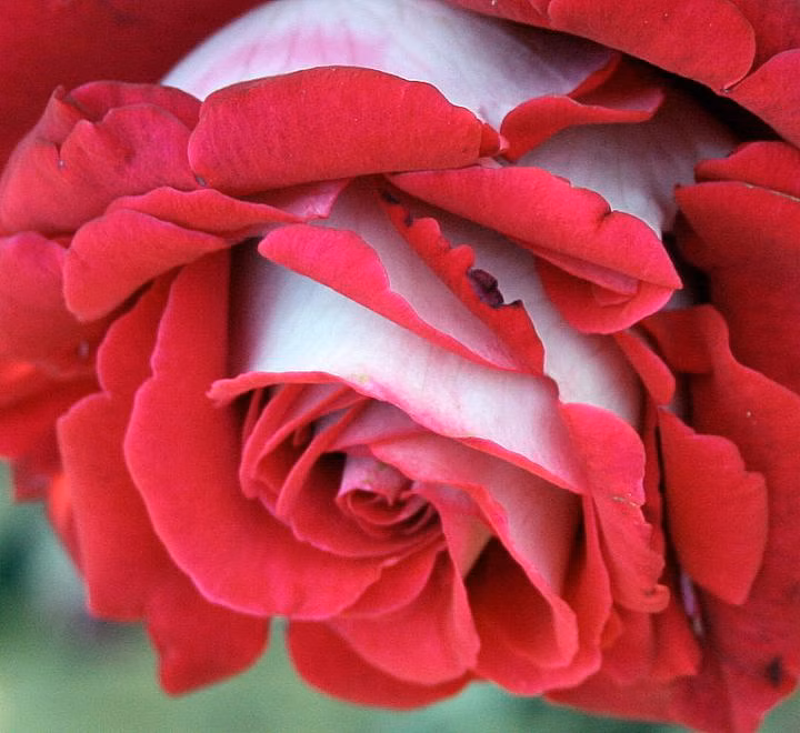 3ee0393ef91244dbee338a6129bf8710