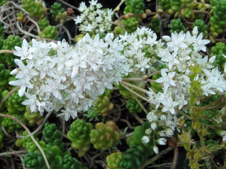 3efd511bfaca9f60d21cc1b7b687474d