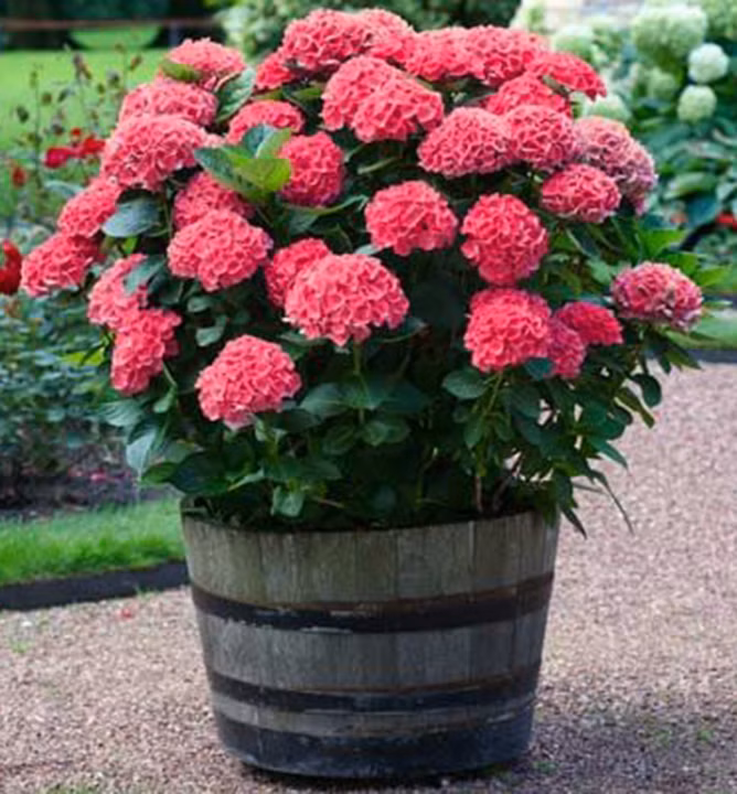 3f0a93929f8b575e43b504b938d6bd4b