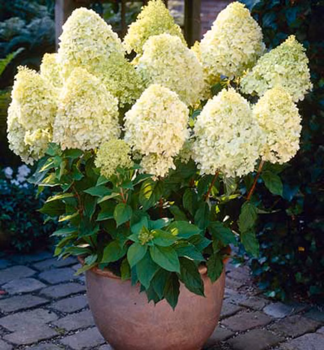 3f1f798194745d1bb1cc279a632d92ce