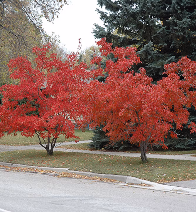 3f2e9e15331e909d6d37477e1e9e4c7a