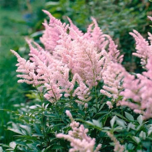 3fb709ccfb24fdb71327acb9459bd85f