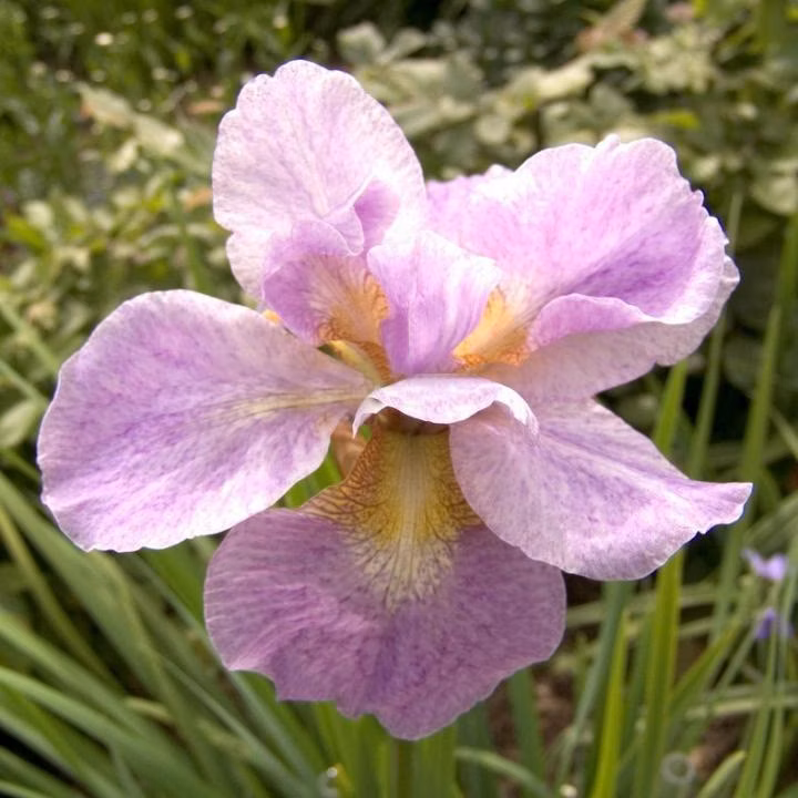 3fcce35cd776e078dc441d508cd4aecf