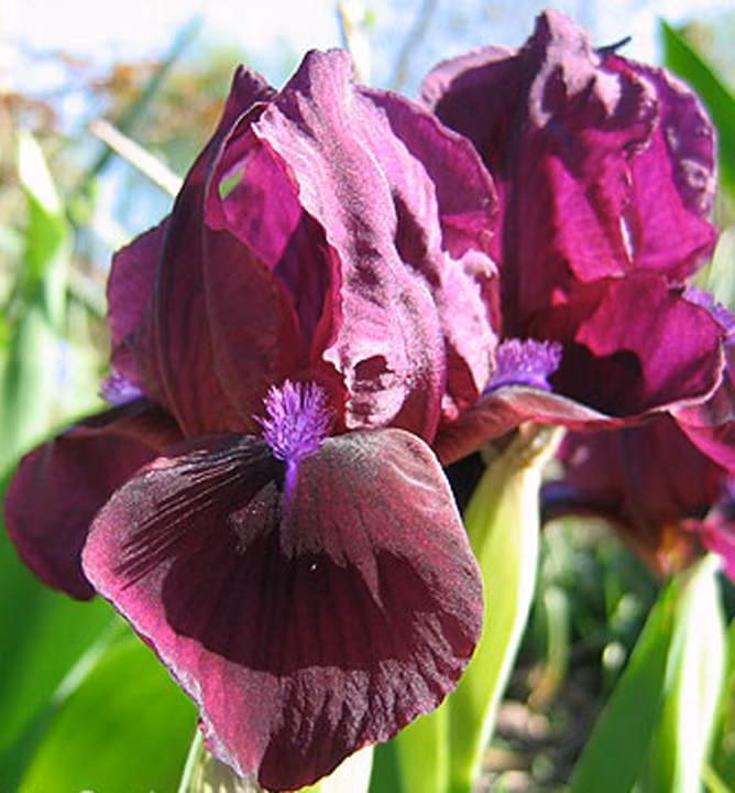 3fd0e9fc338a22a93afffe0b2f072b83