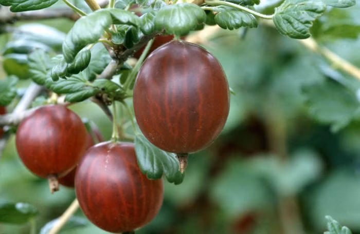 3fd26847261d3d73441909009228150a