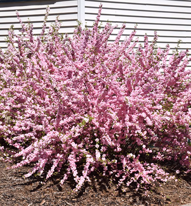 400450ec2dba77d18abdd3f2fdf71b06