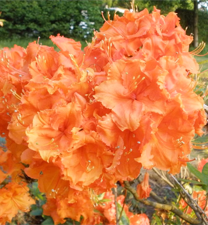 406bd9c8f6af6f8a3b047c87d68b1250