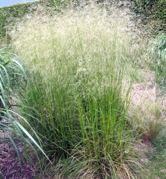 406cd3b47f342e92a070b47fc6e5191a