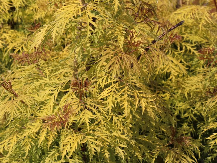 40d0423969a642adfd36e84f2f395953