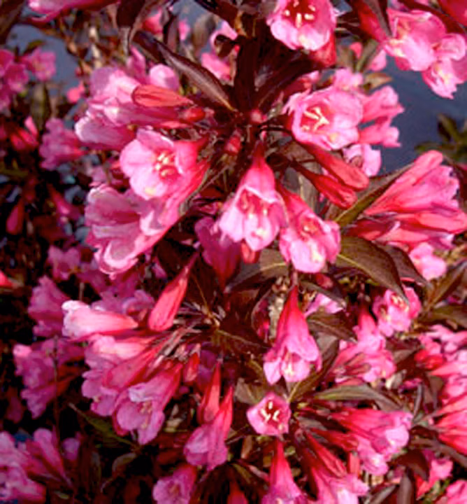 40d21d11d5d649568bd9e40c57fec638