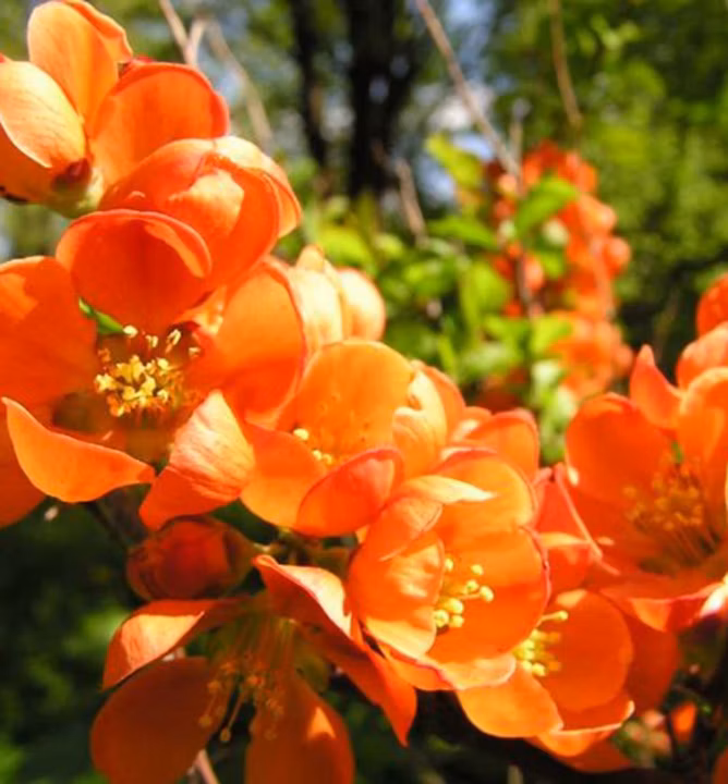 4108ebbff5f1fac51ac7aba60edfd063