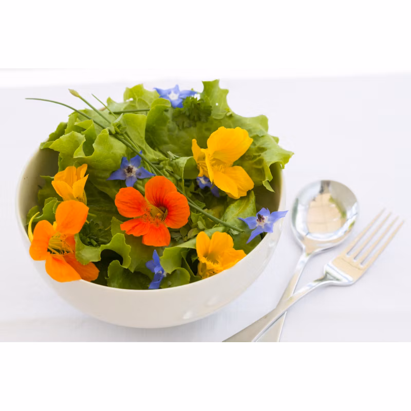 411e0e27b9345a481b7a6d2ef07cecd2