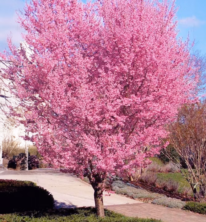 41372f64e66d76839f470c80344b0767