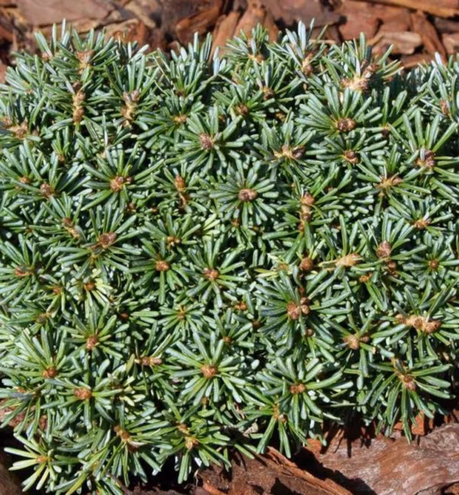 413d22f44d19e6061d9e2336e7d991f5