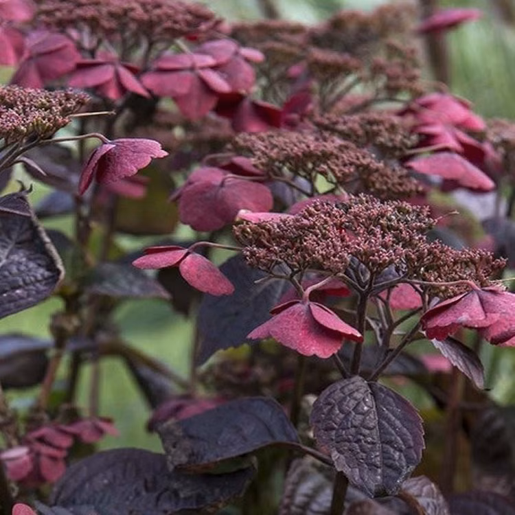 4145479cff5478ecce1d2231edd93767