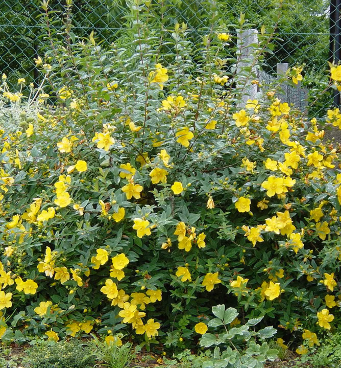 415309bc773550e48af8d7b1021ffa23