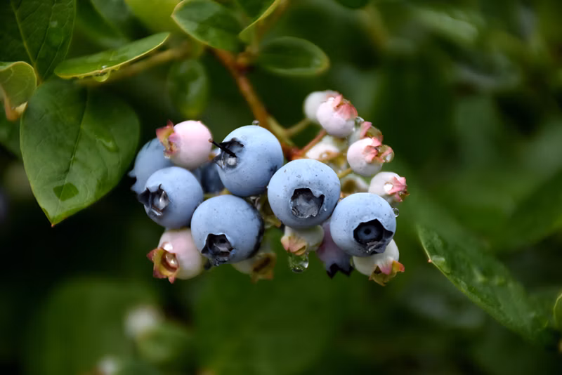 415af4dadaaa0a3ca34e034ccc73ccba