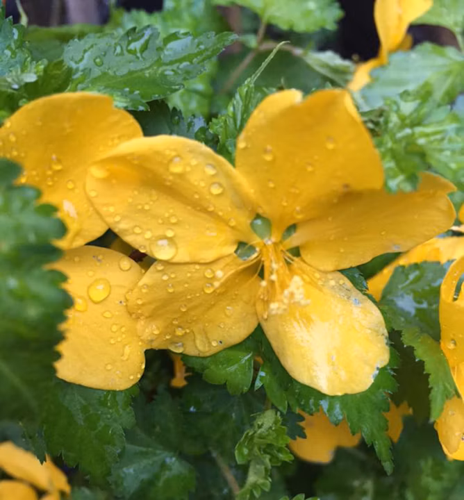 41aa38313991ef4f818e7dd84521bc71