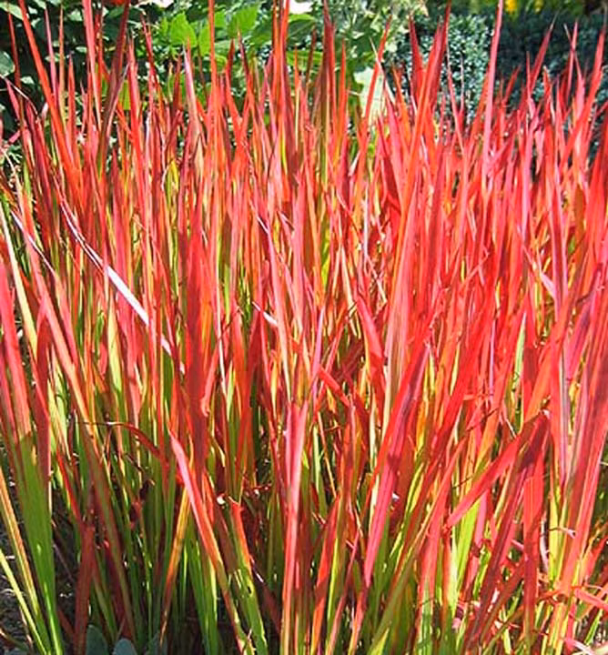 41af3235258b695e7f99b23ddee9fd60