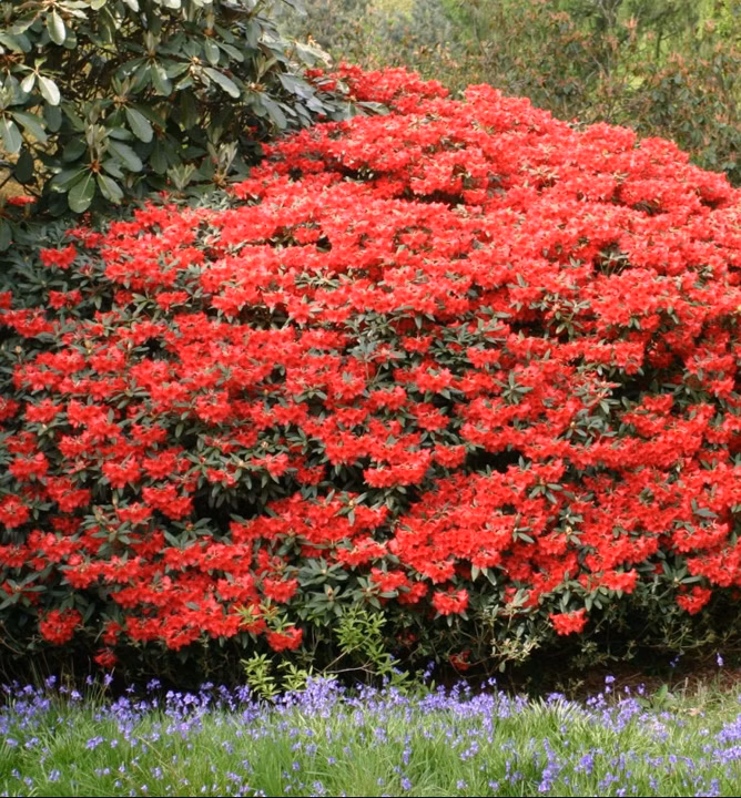 41cff4a0c524918ca8bc8fddbea0f547