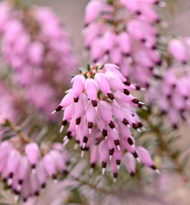 423c13b2ff85143e301acf973fc36227