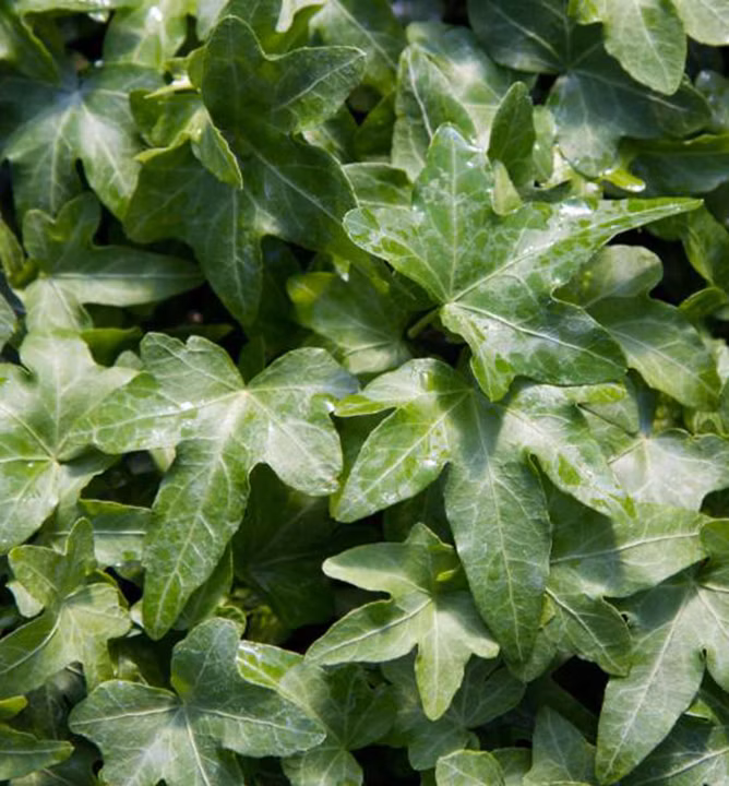 4249e28b87cf370492a4095b395b4734