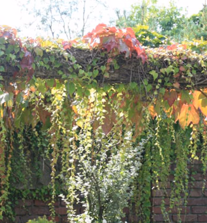 42606c16663e20c12415c9a90152c590