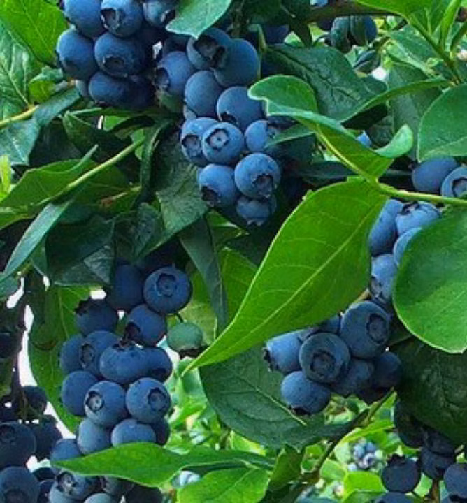 4291b76cd972a6eea950ca3696ee4230