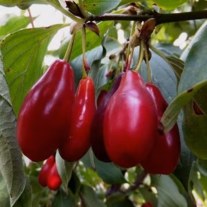 42ec16afc5c86bca1c8676ea19025c89