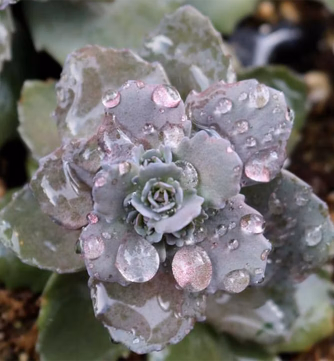 43bff421422da5d276afab5c34c73bd8