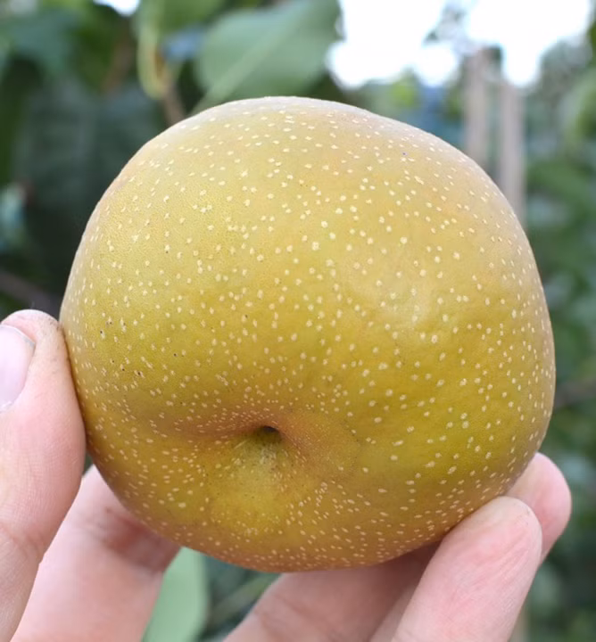 44065af914a9eacb00c879c39eb30ba1