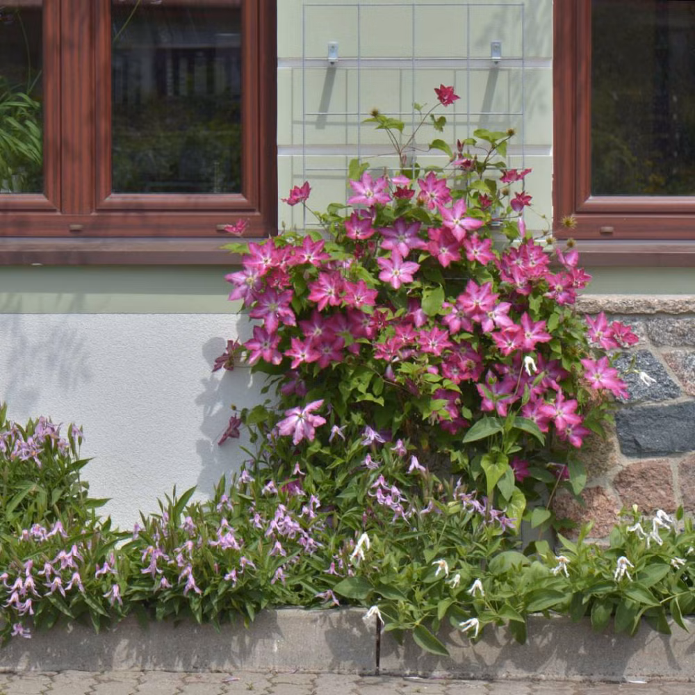 442440526d71c6bf940142096ec454ae